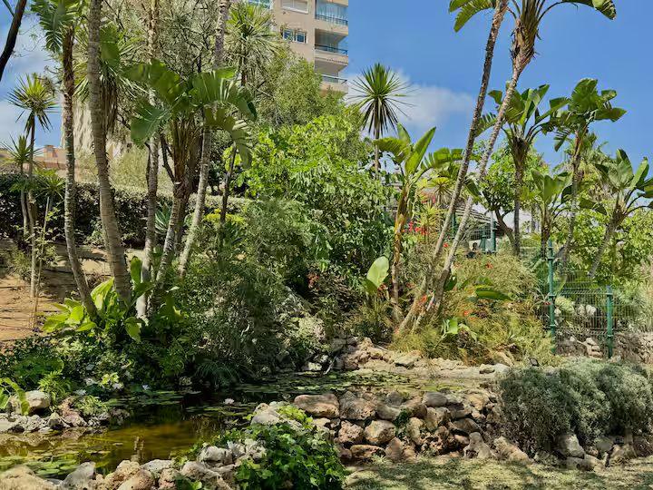 Apartment for Rent in Benalmádena