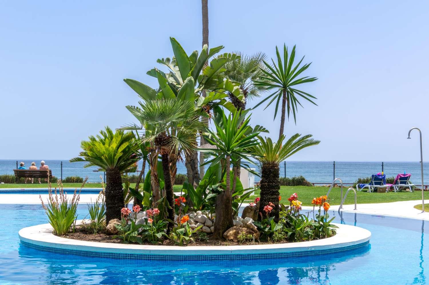 Apartment for Rent in Mijas
