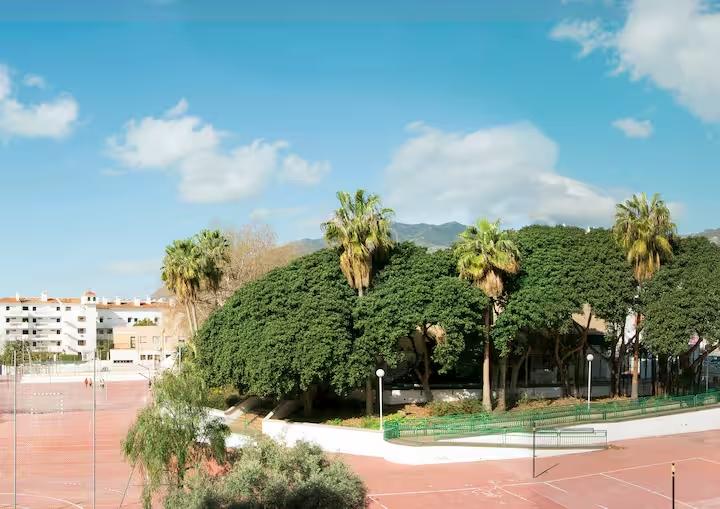 Apartamento en Alquiler en Benalmádena