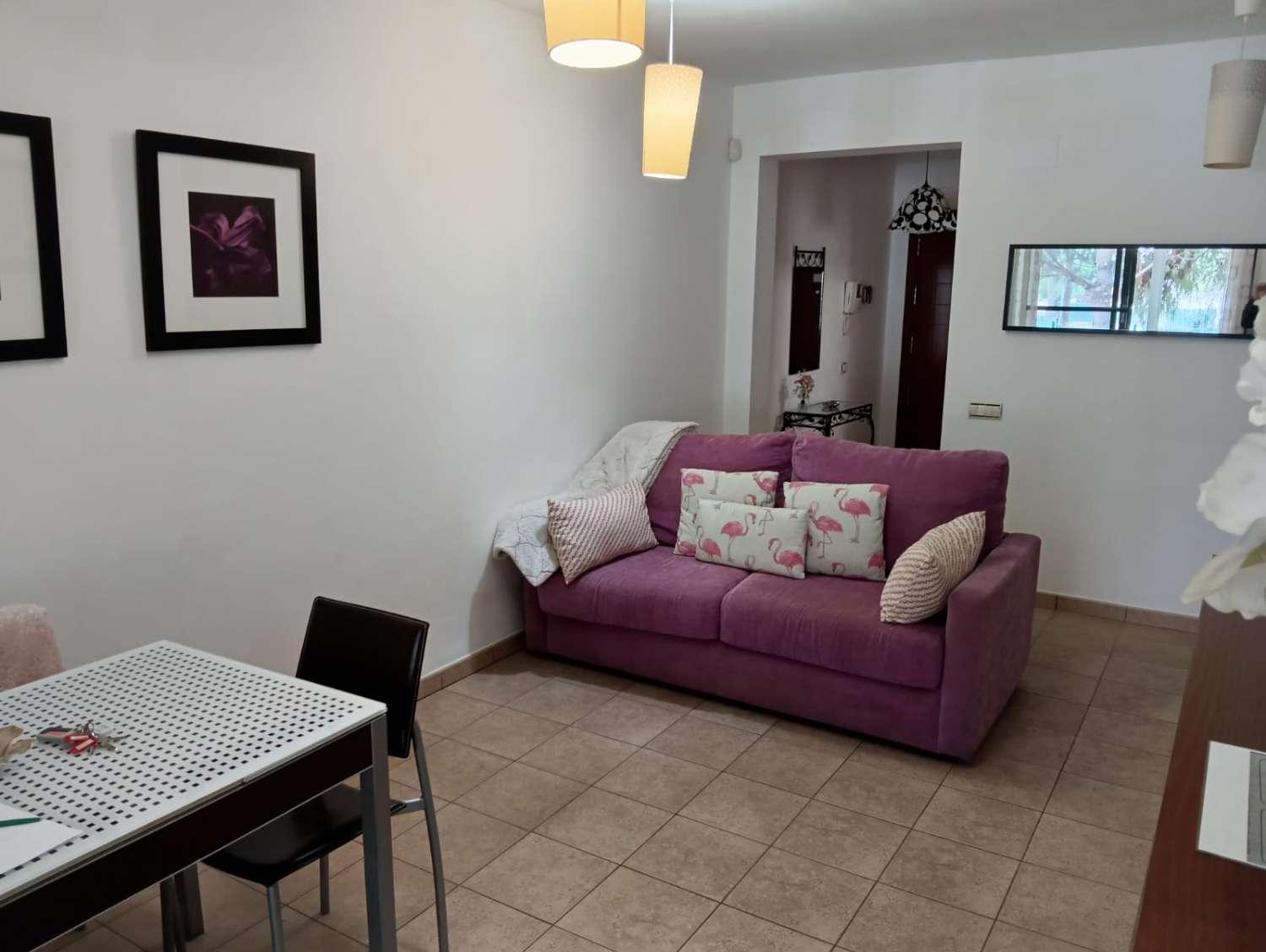 Apartment for Rent in Mijas