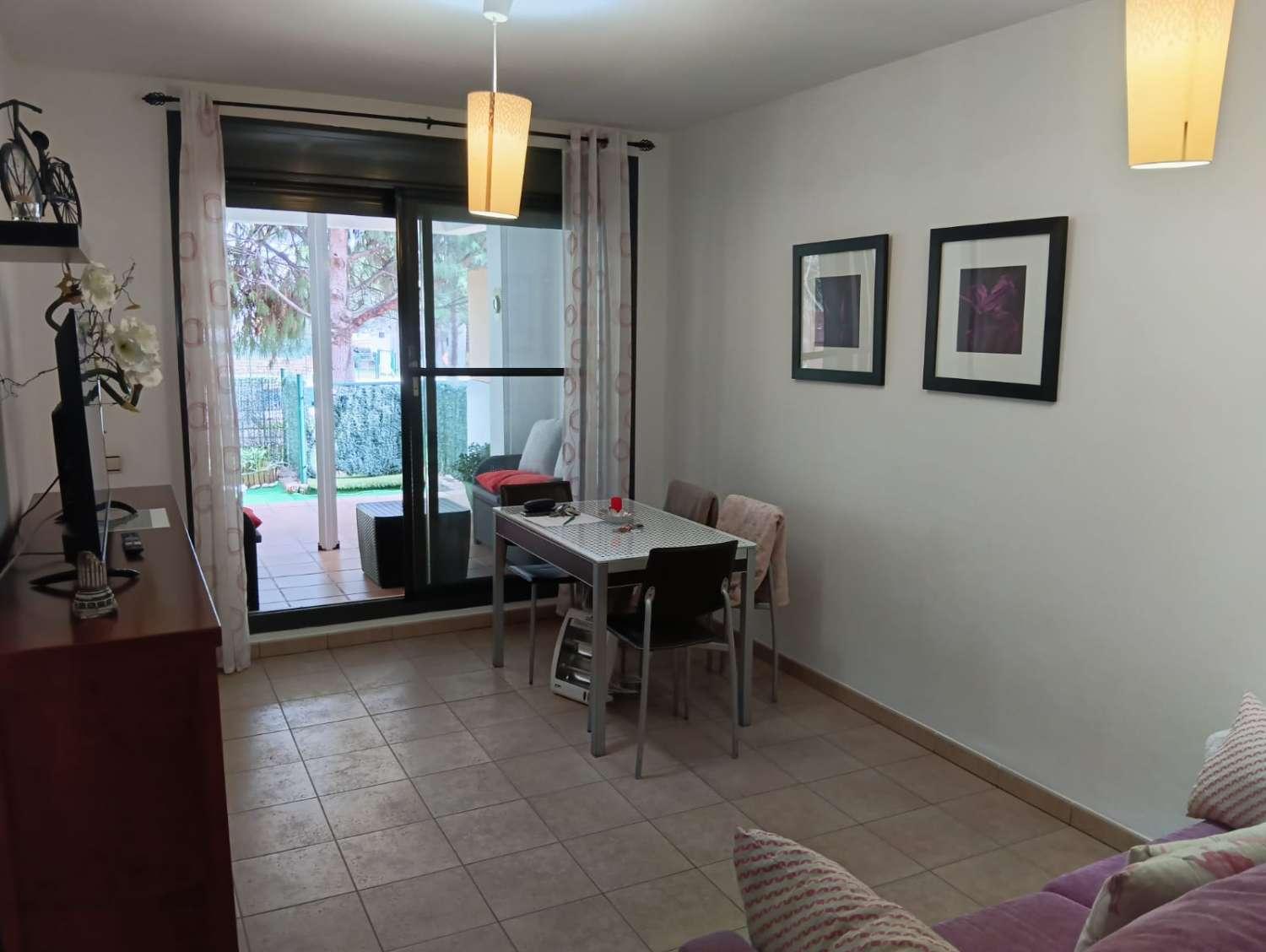 Apartment for Rent in Mijas