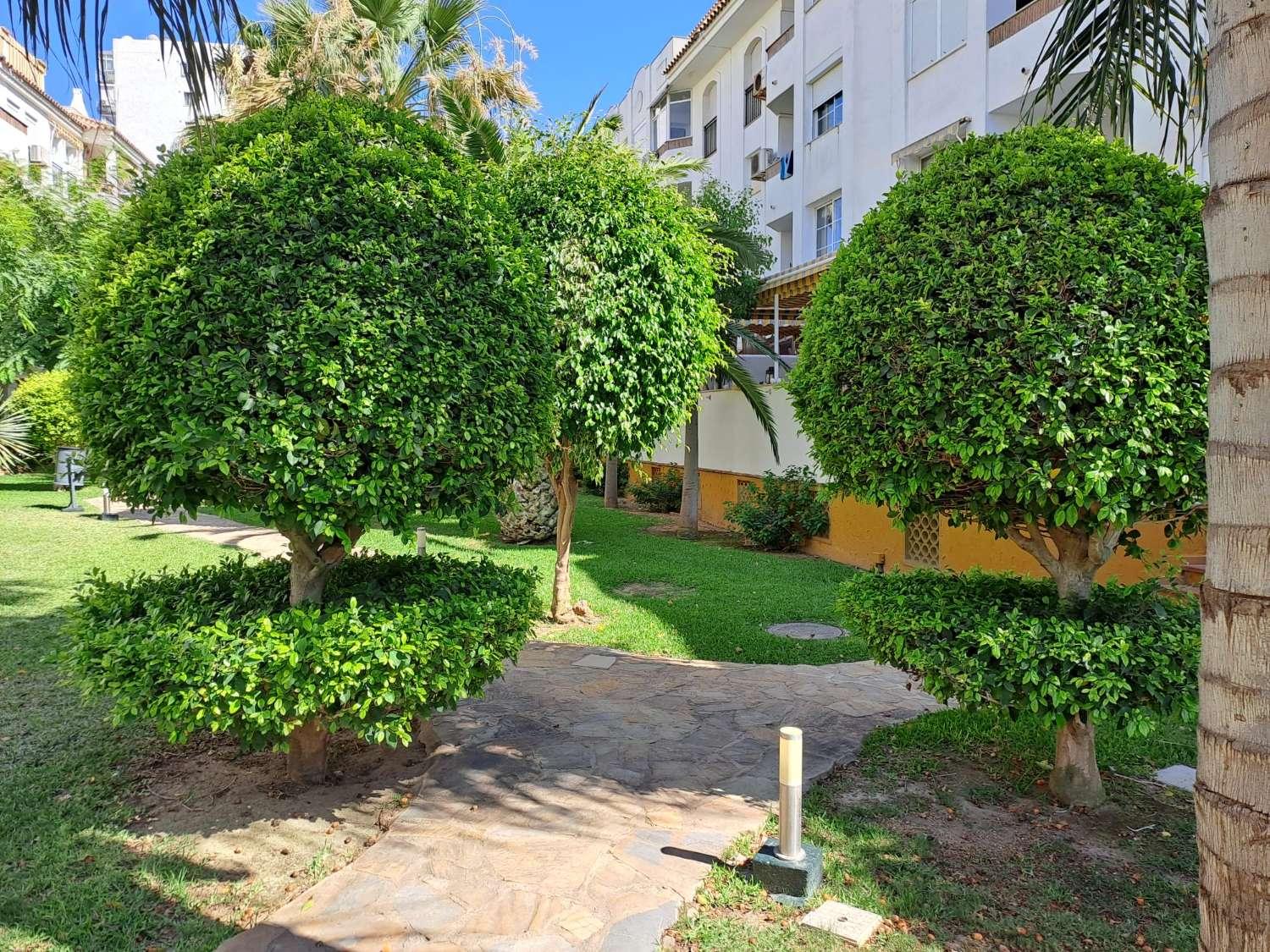 Apartment for Rent in Benalmádena