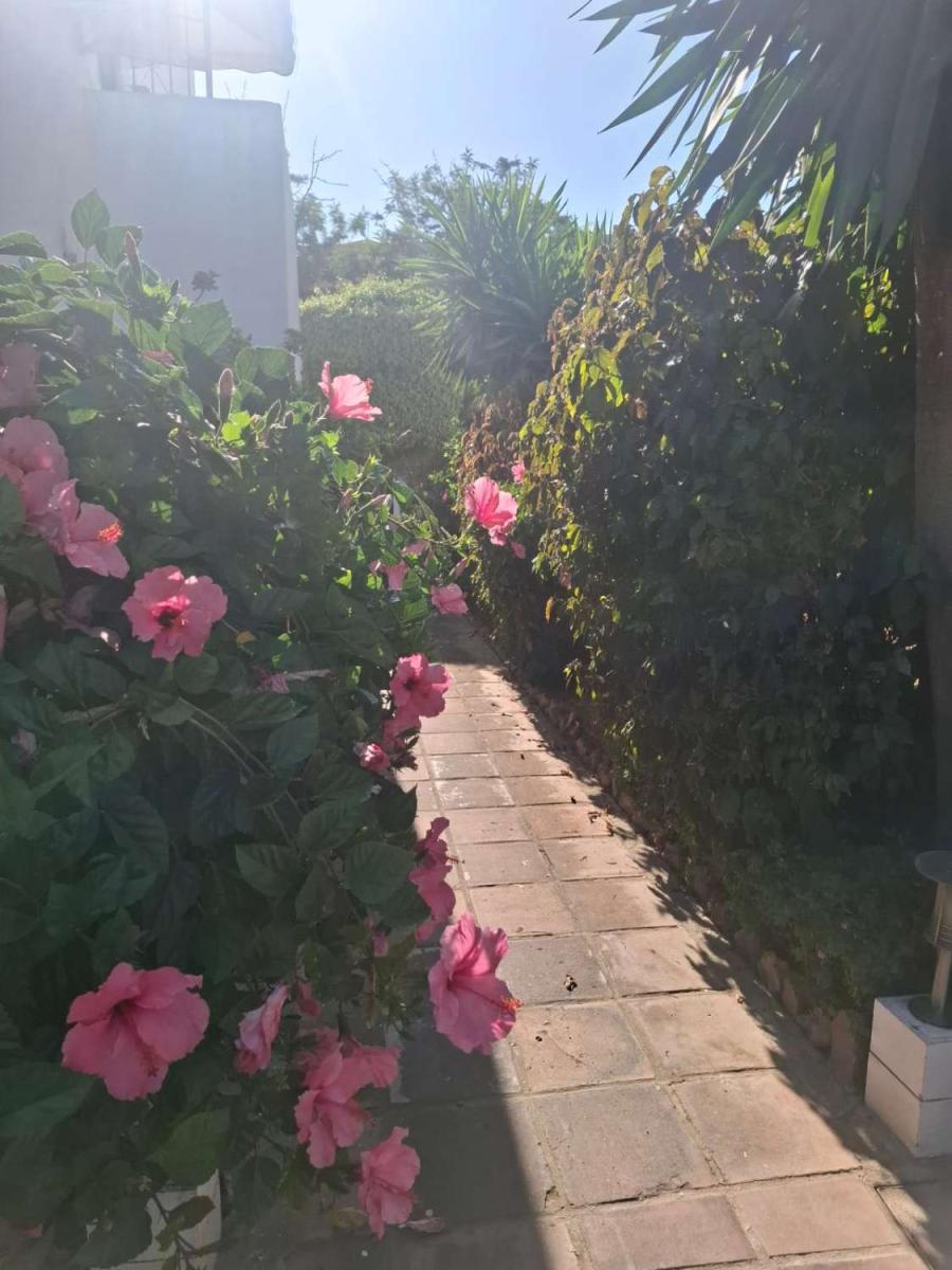 Apartment for Rent in Torremolinos