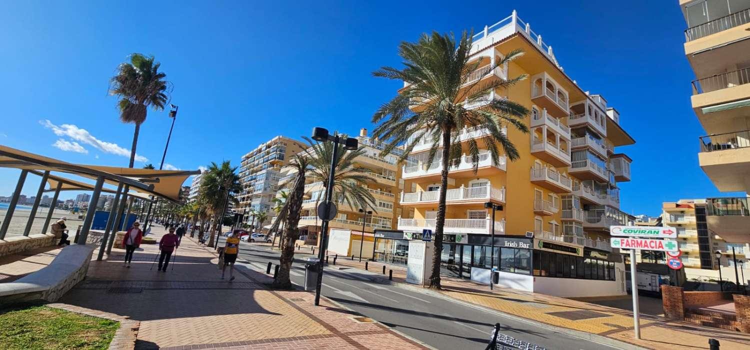 Apartment for Rent in Fuengirola
