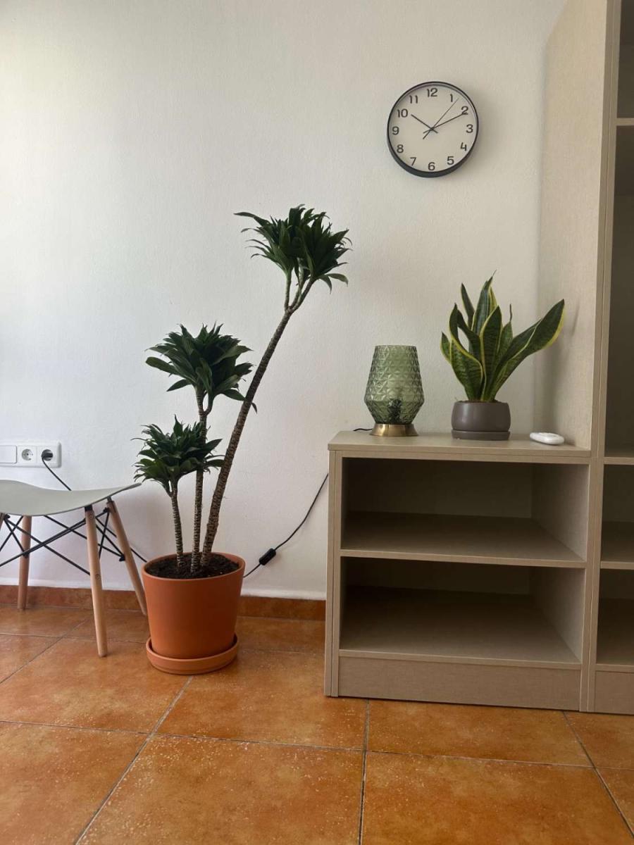 Studio for Rent in Torremolinos