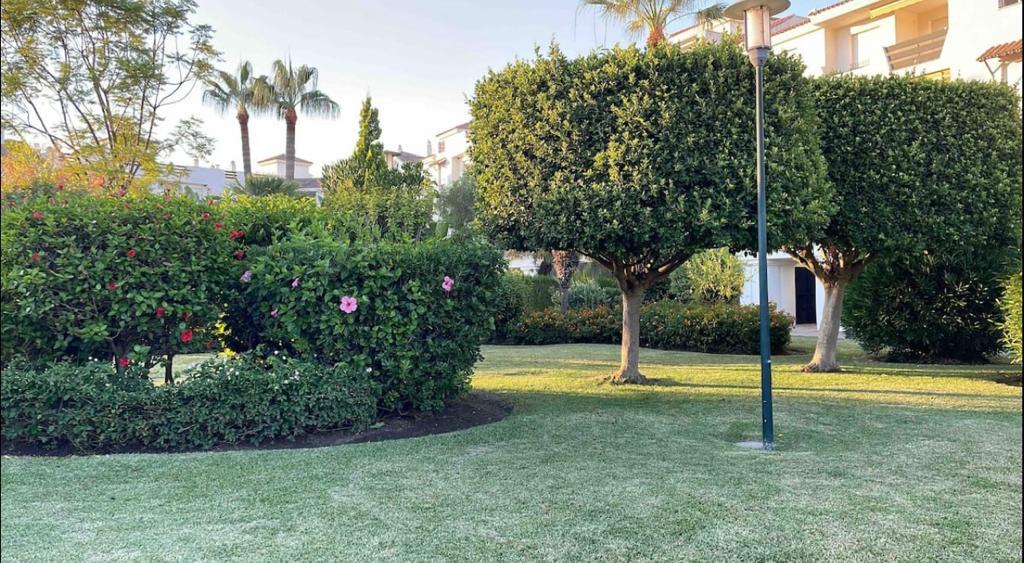 Apartment for Rent in Málaga