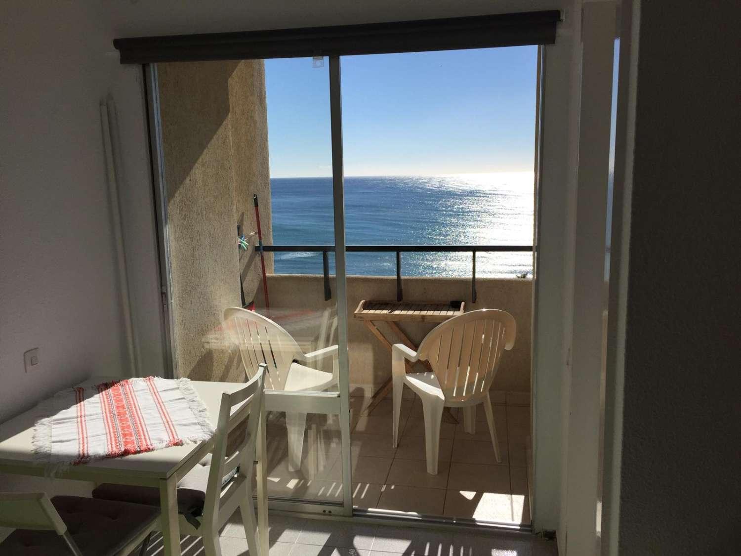 Studio for Rent in Torremolinos