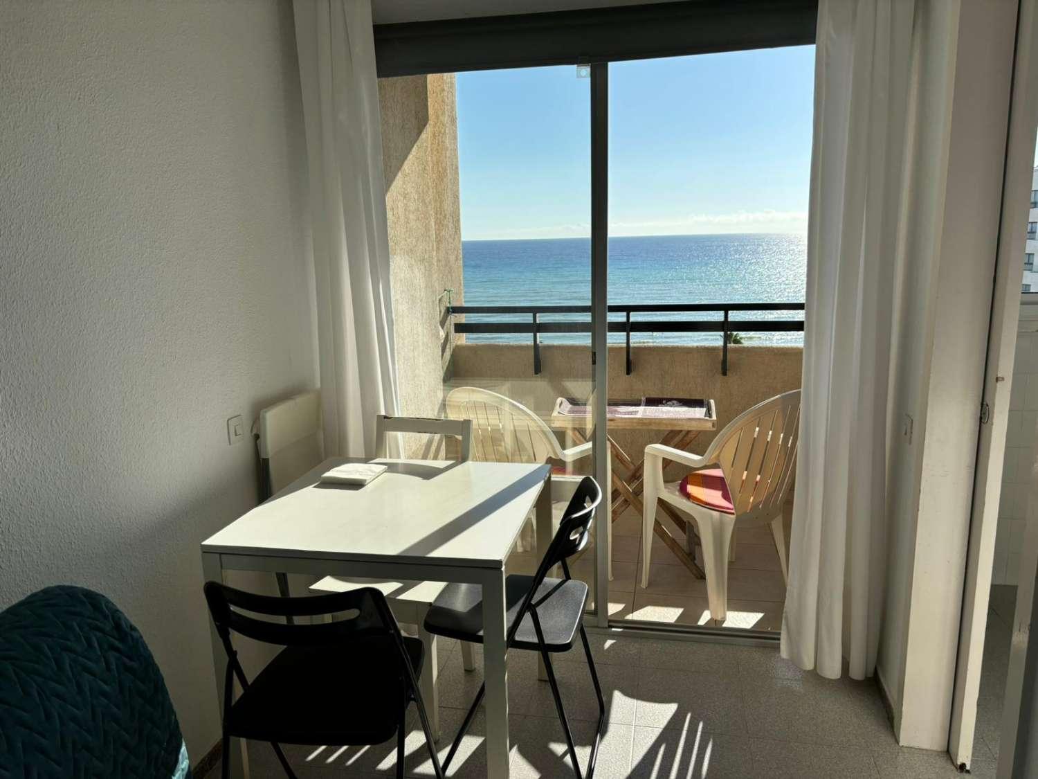 Studio for Rent in Torremolinos