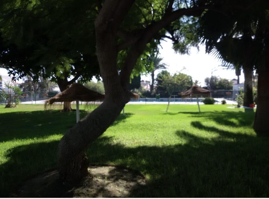 Apartment for Rent in Benalmádena