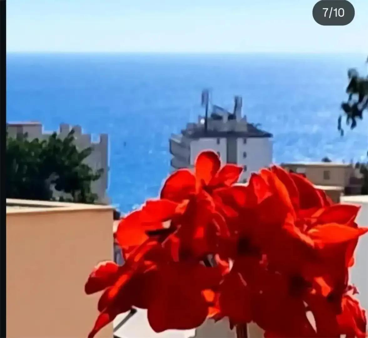 Apartamento en Venta en Torremolinos