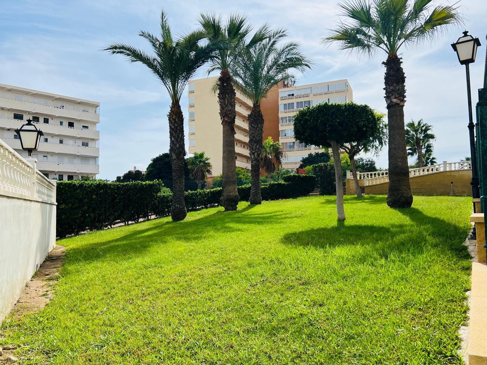 Estudio en Venta en Torrevieja