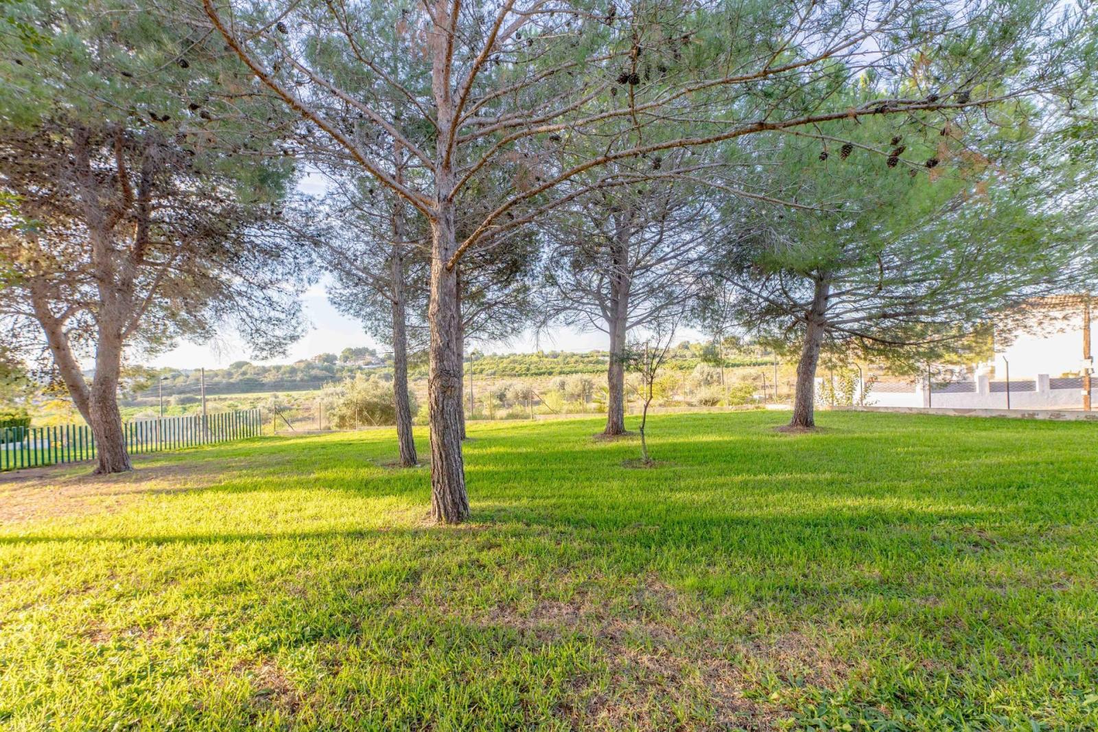 Parcela en Venta en Torrent