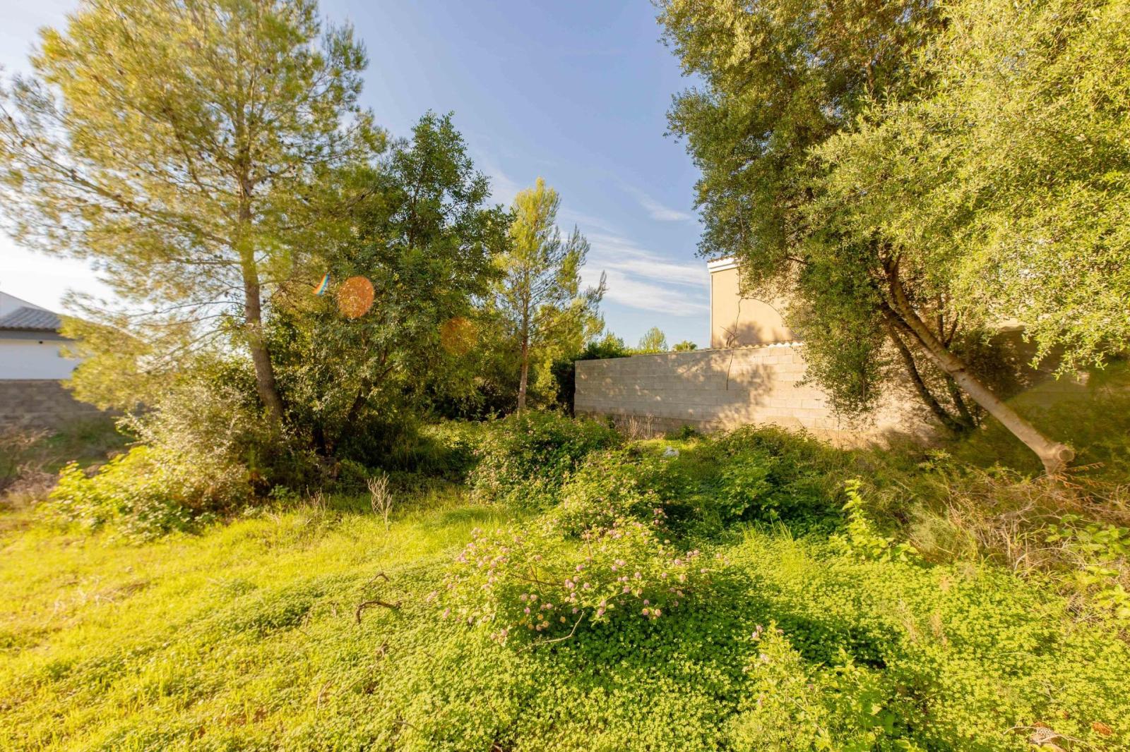 Parcela en Venta en Torrent