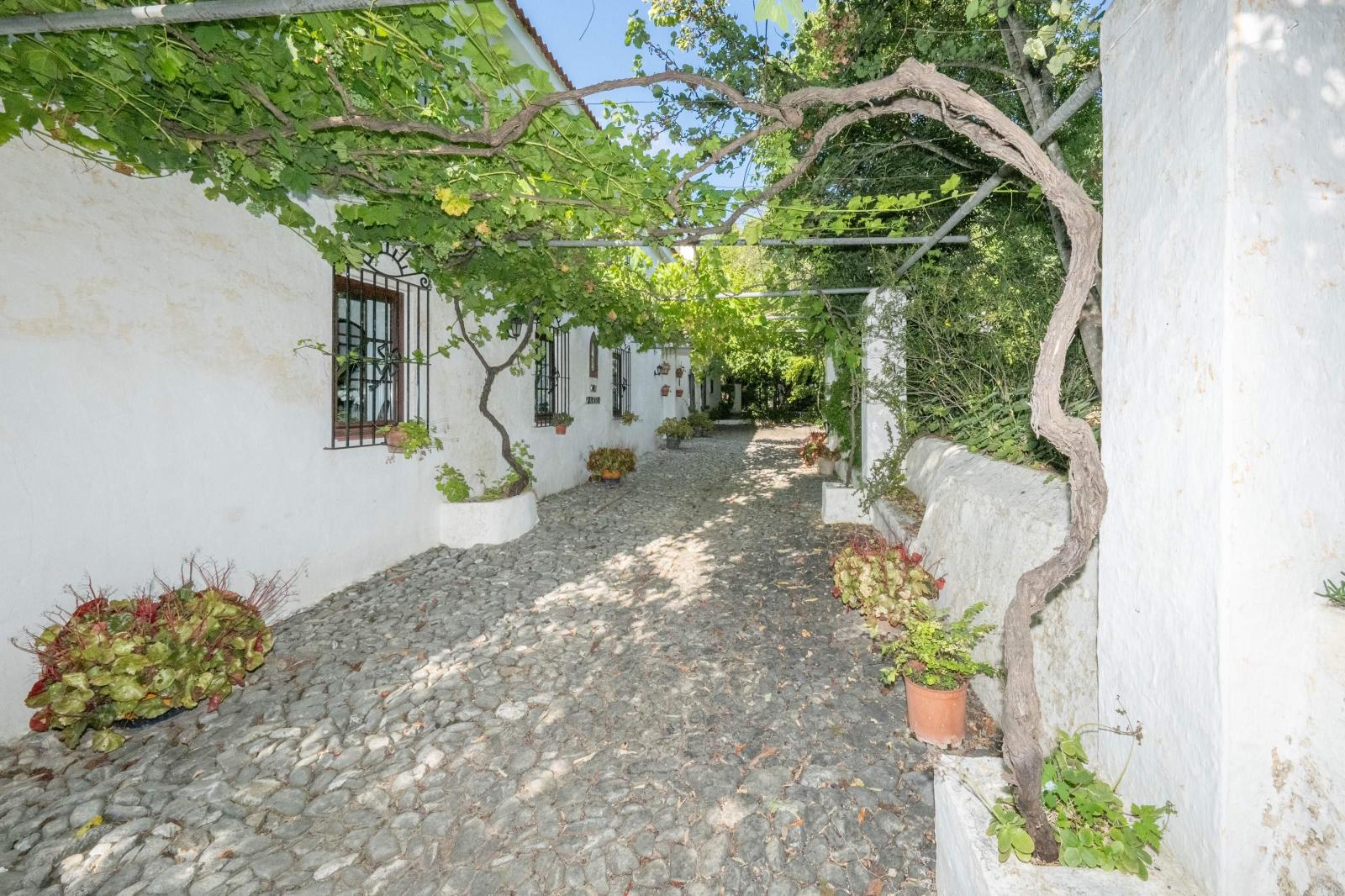 Chalet for Sale in Alhaurín de la Torre