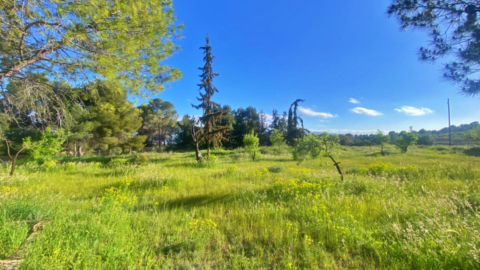Chalet en Venta en Totana