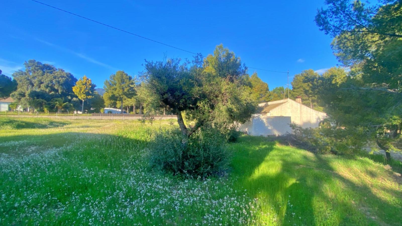 Chalet en Venta en Totana