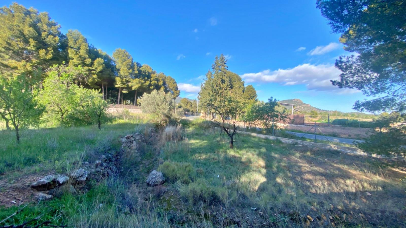 Chalet en Venta en Totana