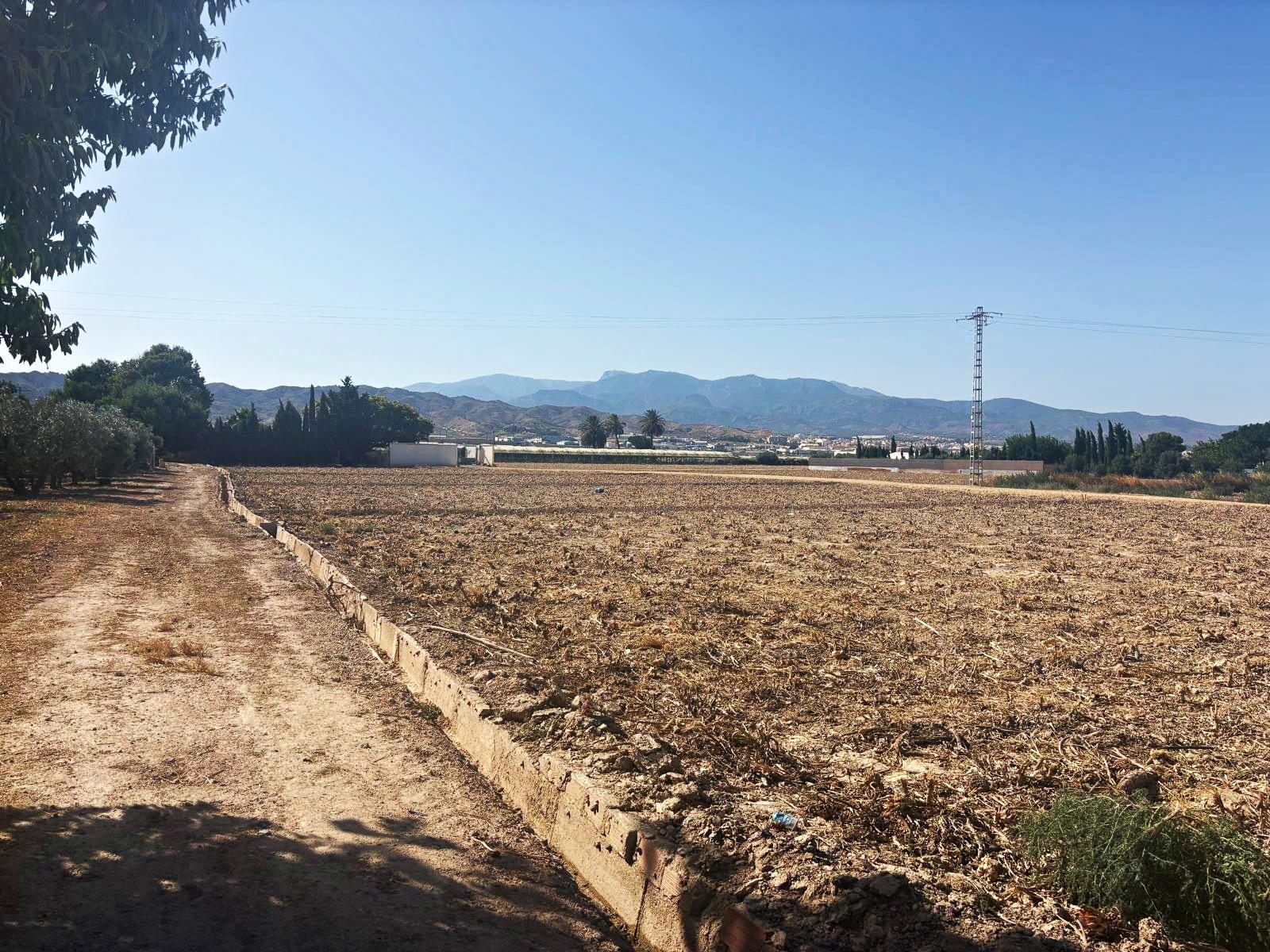 Plot for Sale in Totana