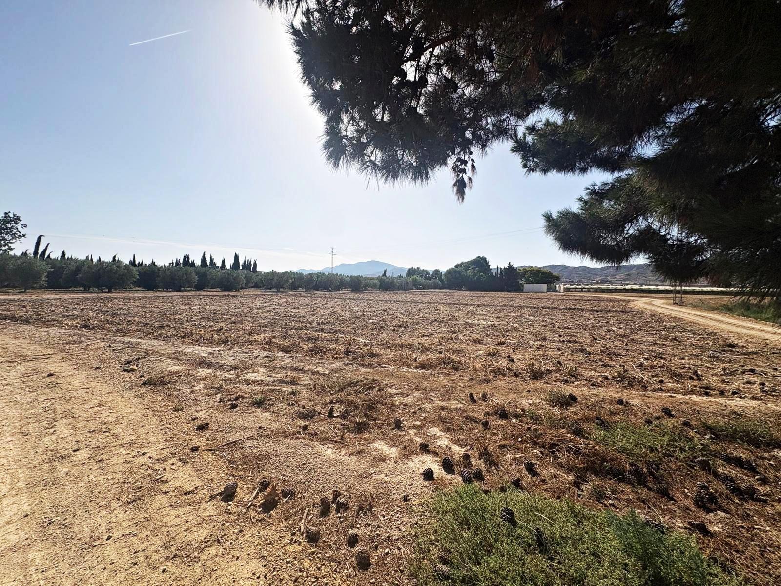Plot for Sale in Totana