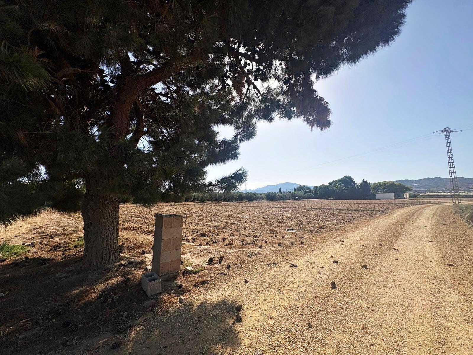 Plot for Sale in Totana