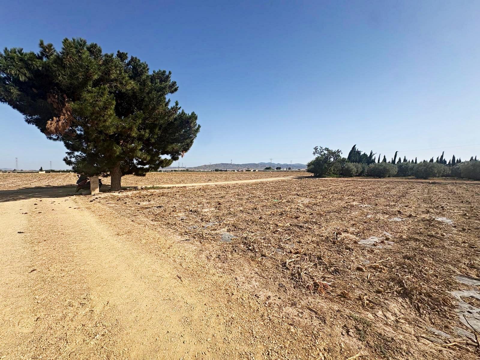 Plot for Sale in Totana