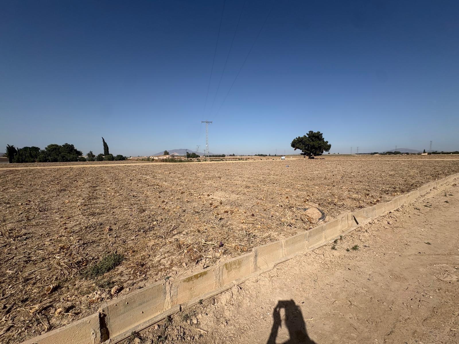 Plot for Sale in Totana