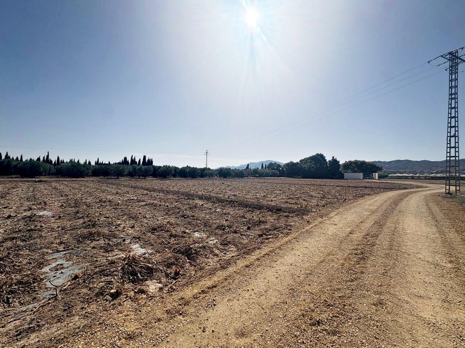 Plot for Sale in Totana