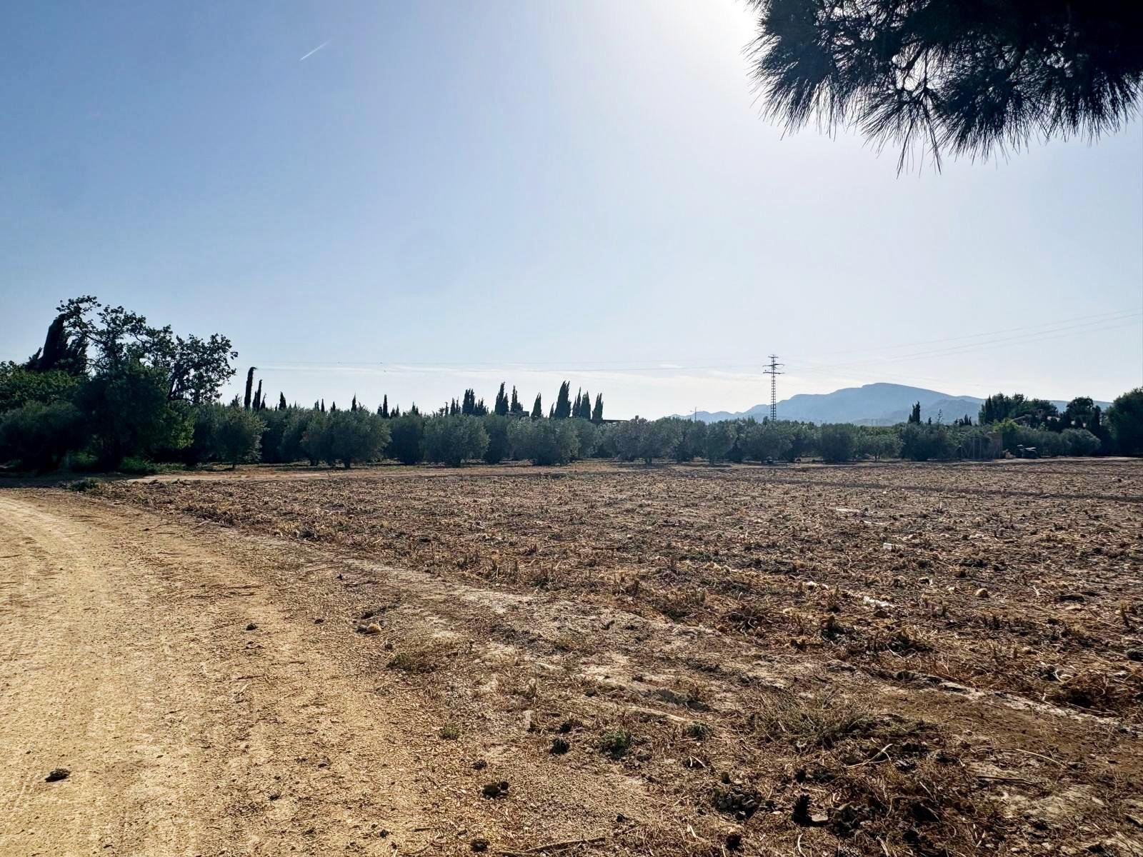 Plot for Sale in Totana
