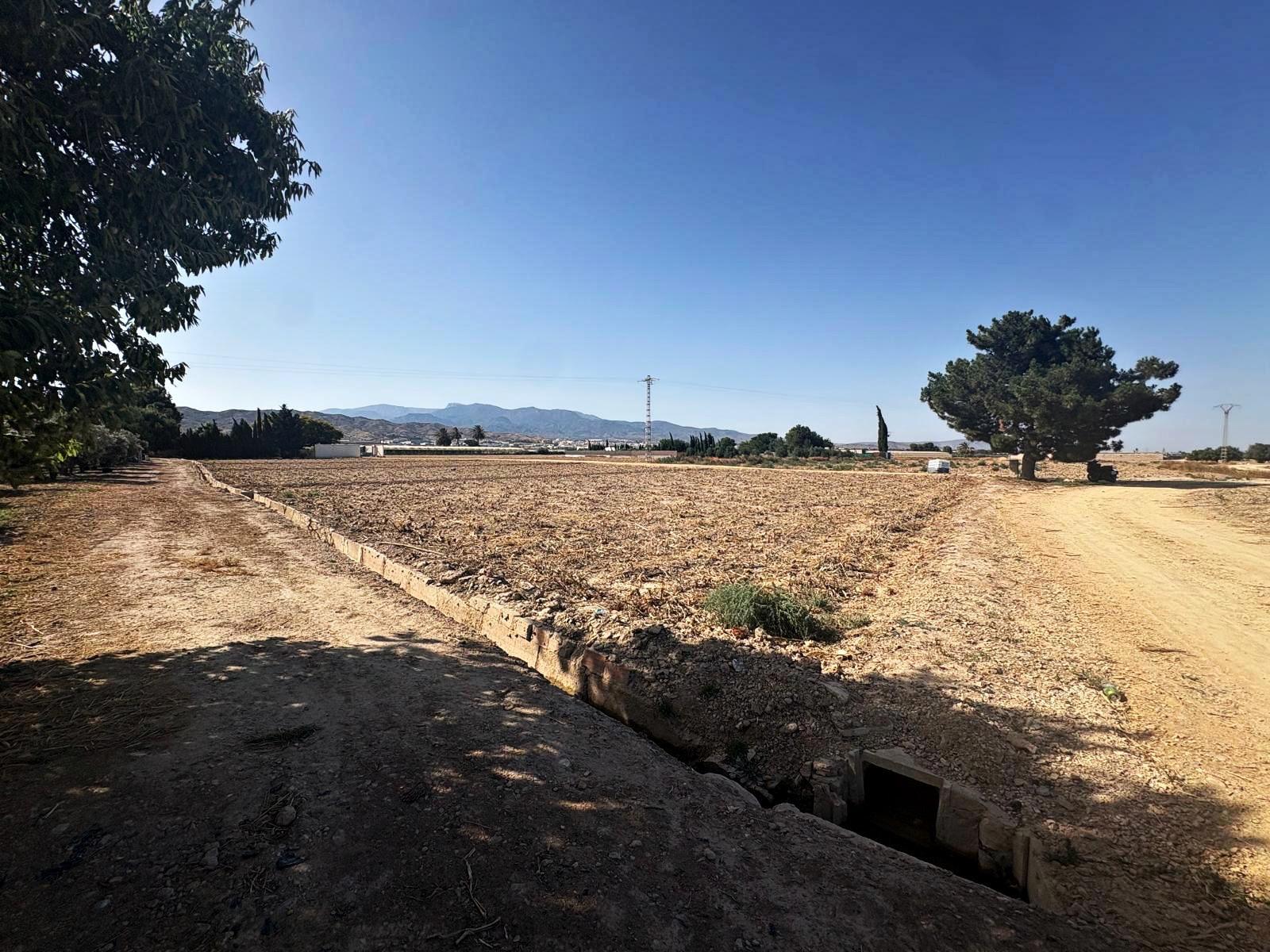 Plot for Sale in Totana