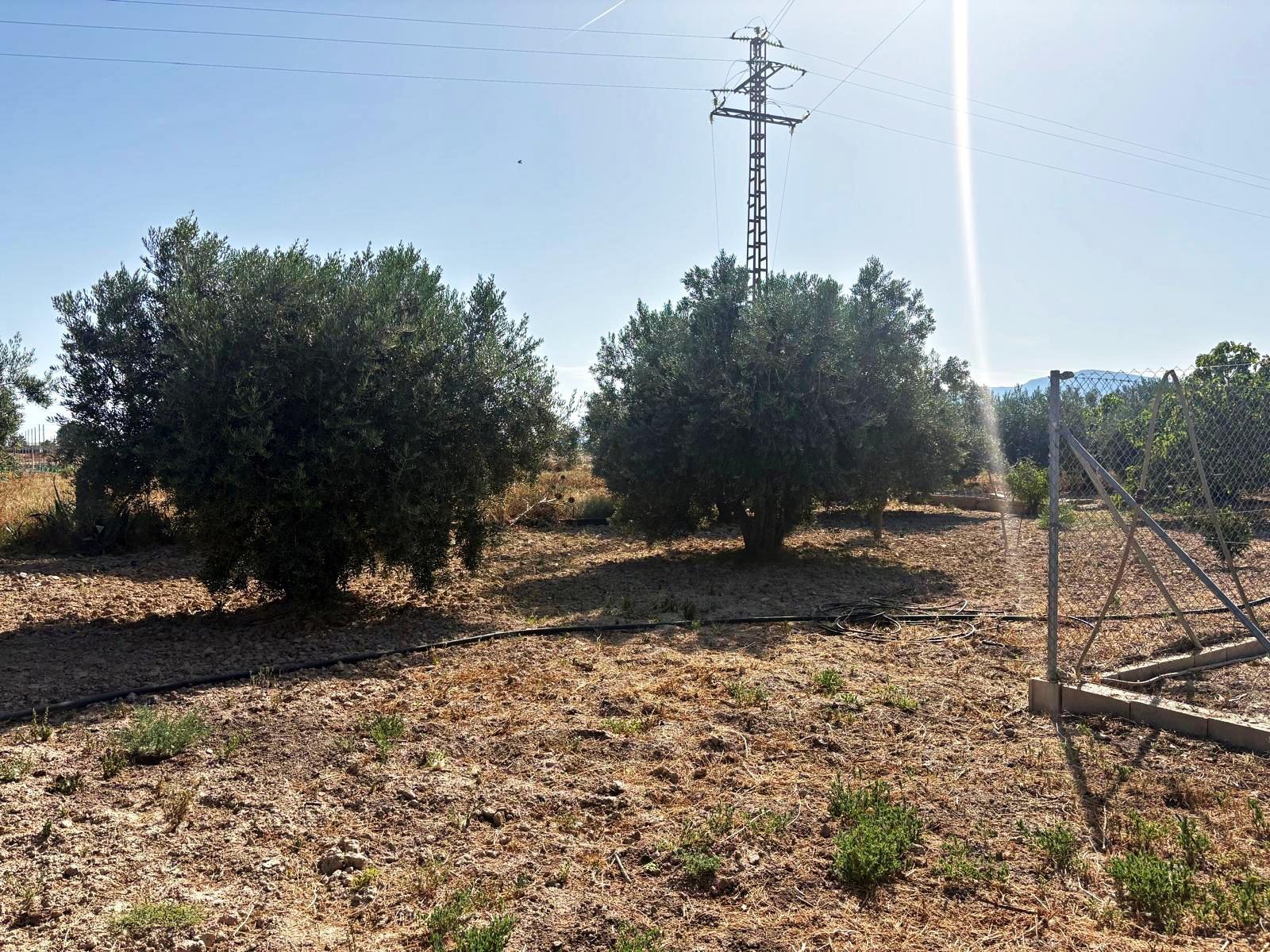 Plot for Sale in Totana