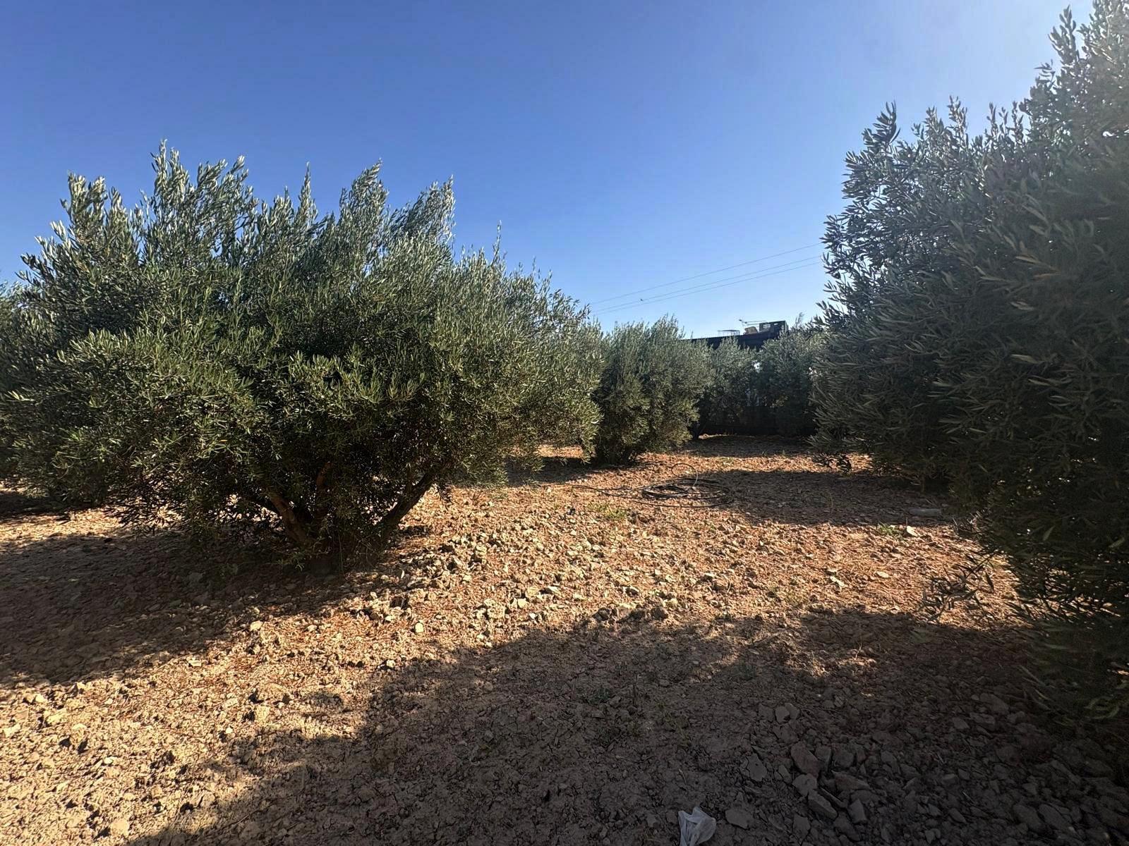 Plot for Sale in Totana