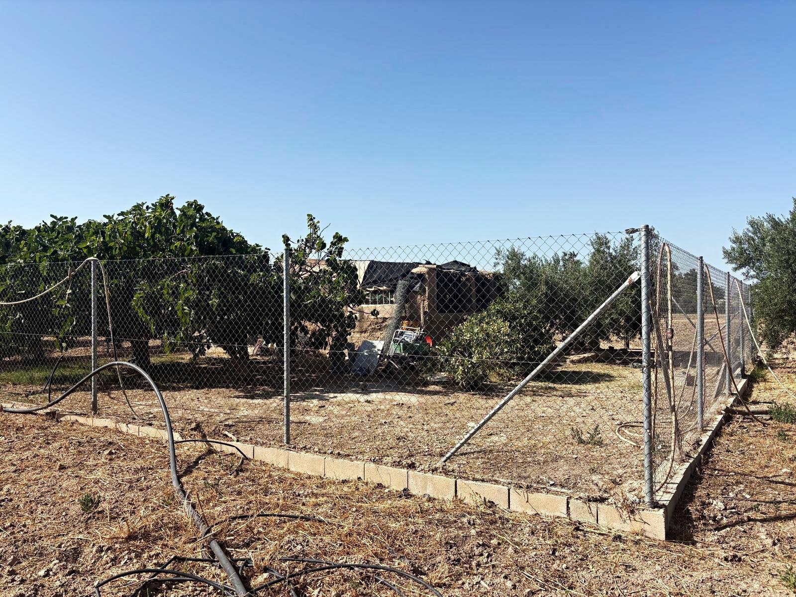 Plot for Sale in Totana