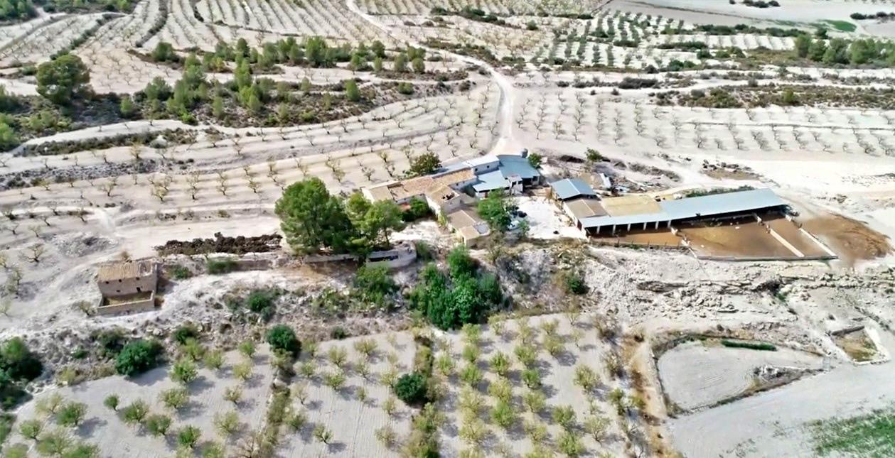 Finca en Venta en Moratalla