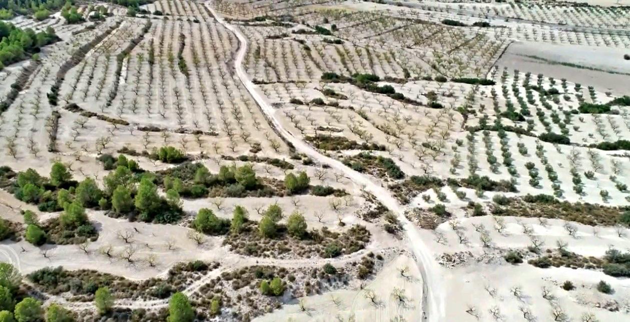 Finca en Venta en Moratalla