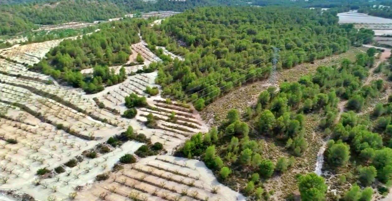 Finca en Venta en Moratalla
