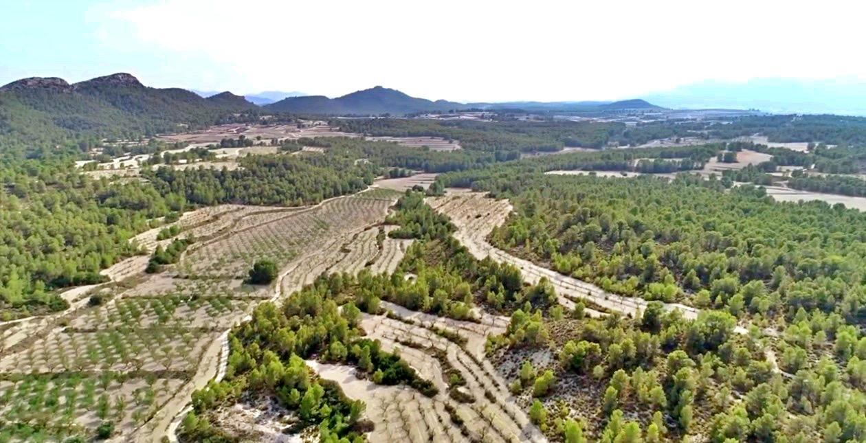 Finca en Venta en Moratalla