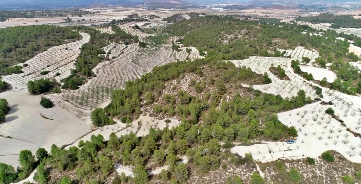 Finca en Venta en Moratalla