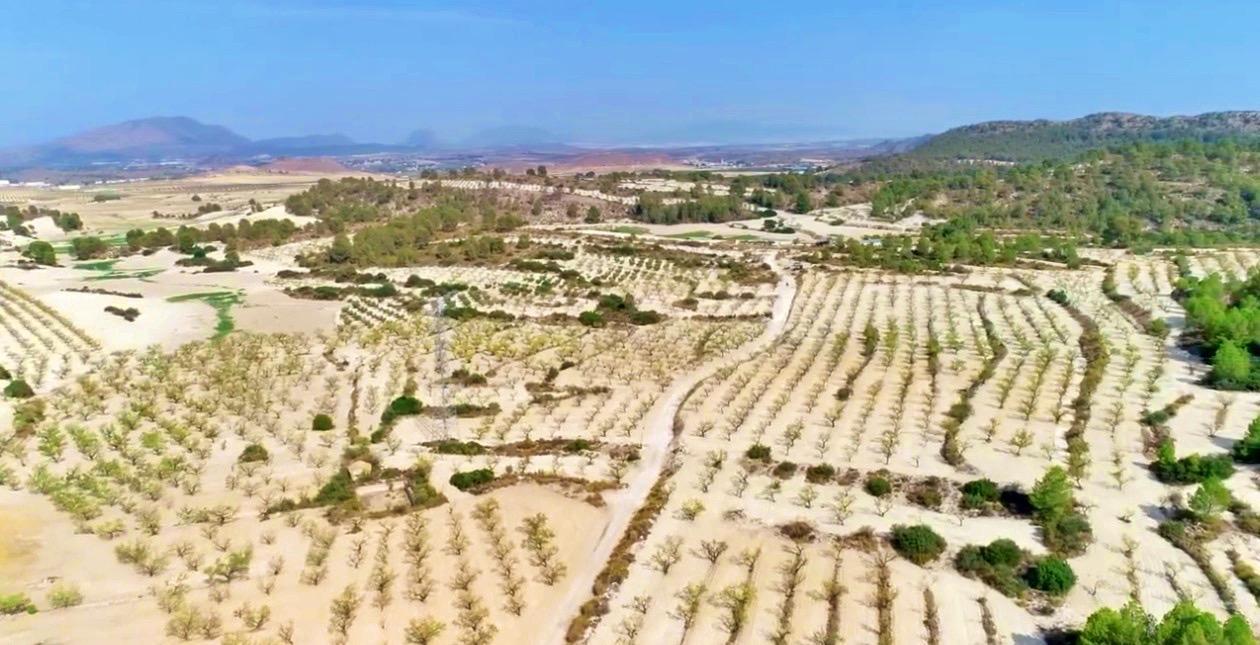 Finca en Venta en Moratalla