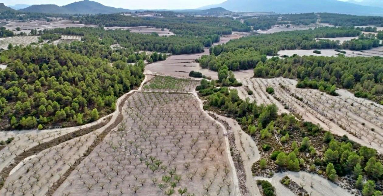Finca en Venta en Moratalla