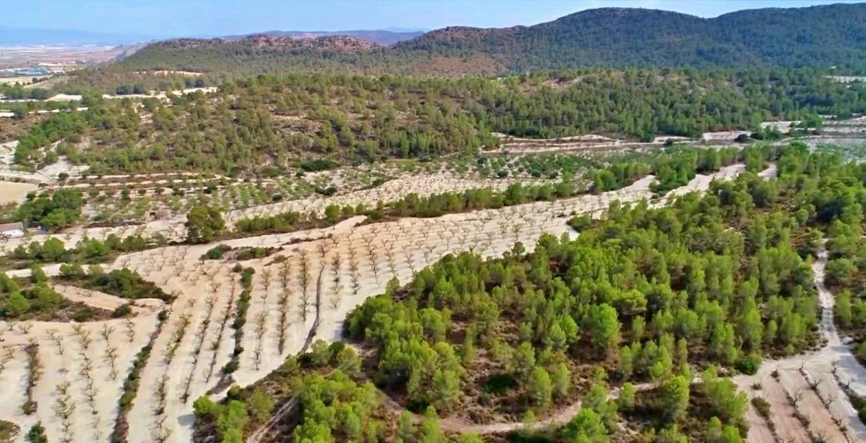 Finca en Venta en Moratalla