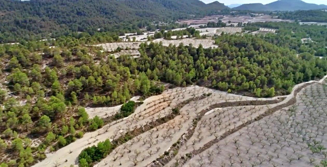 Finca en Venta en Moratalla