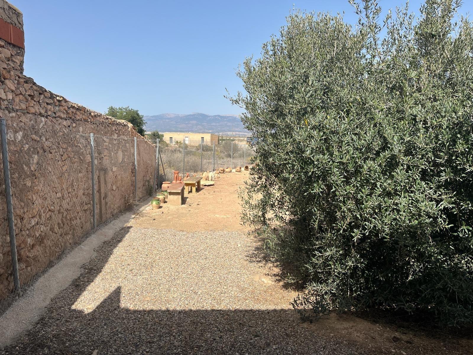 Premise for Sale in Totana