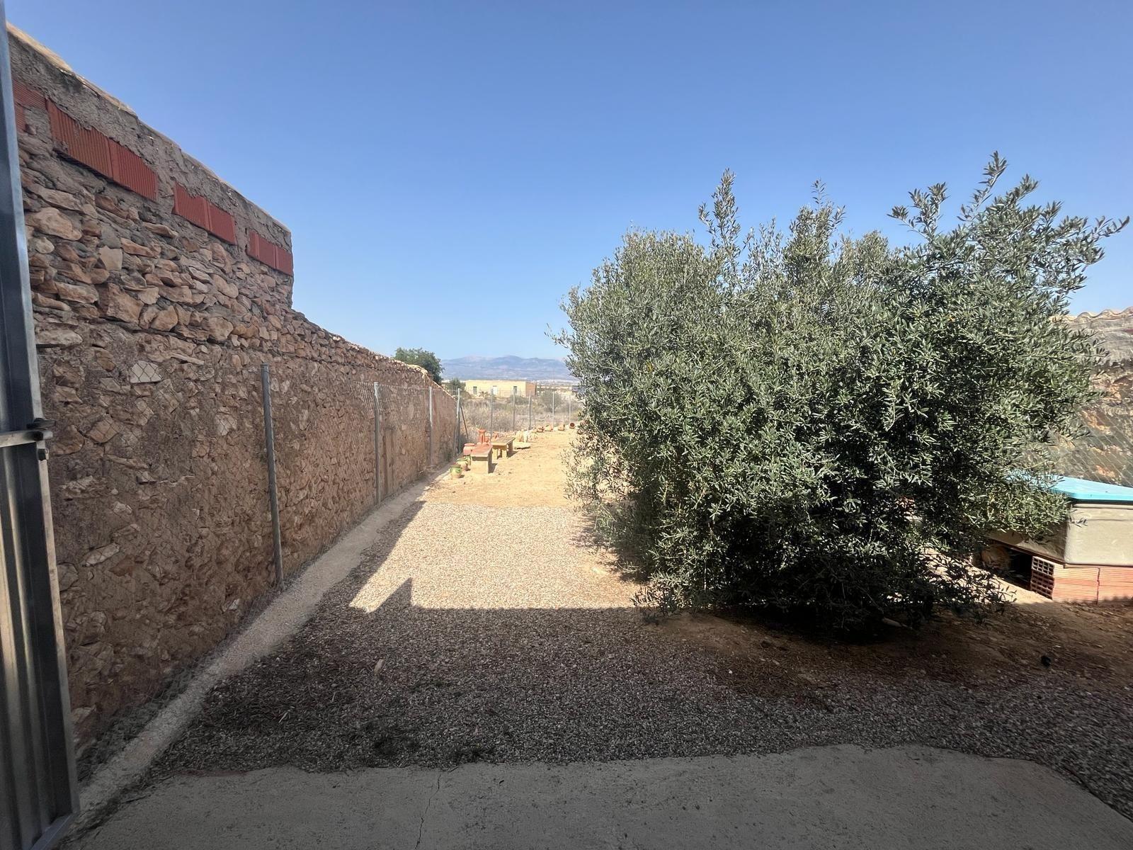 Premise for Sale in Totana