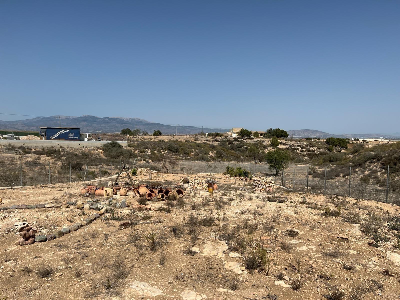 Premise for Sale in Totana