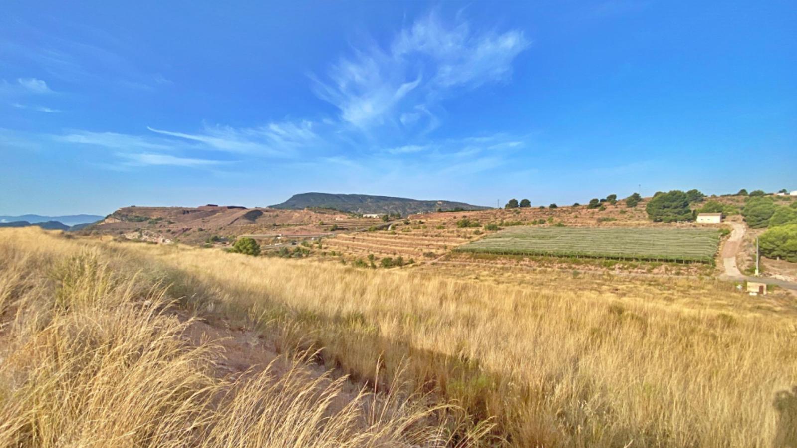 Plot for Sale in Aledo