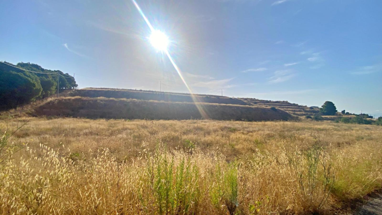 Parcela en Venta en Aledo