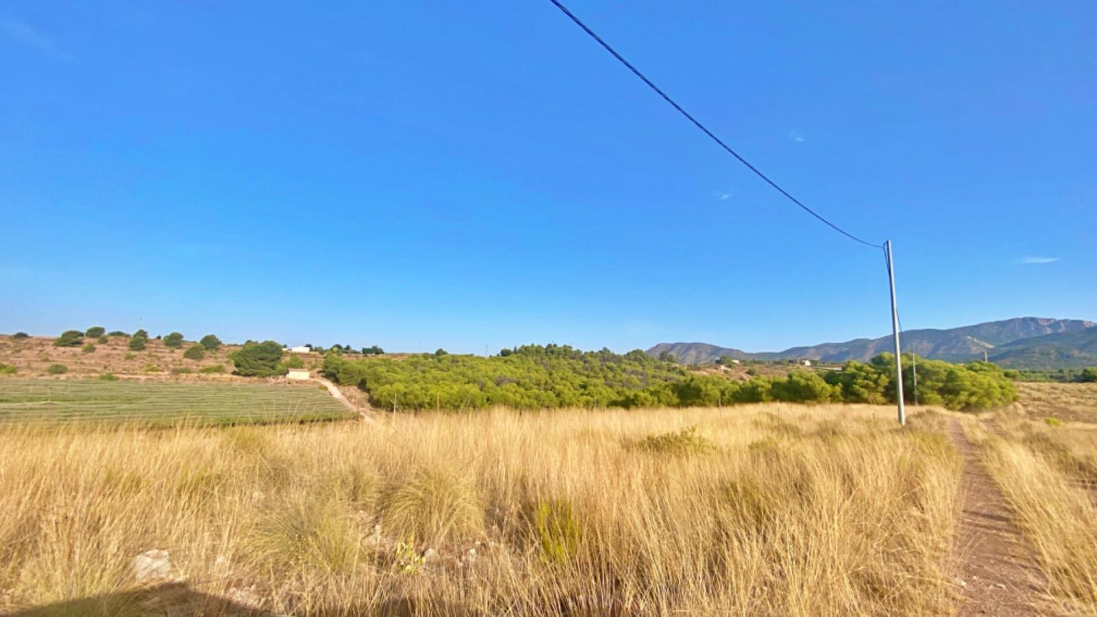 Plot for Sale in Aledo