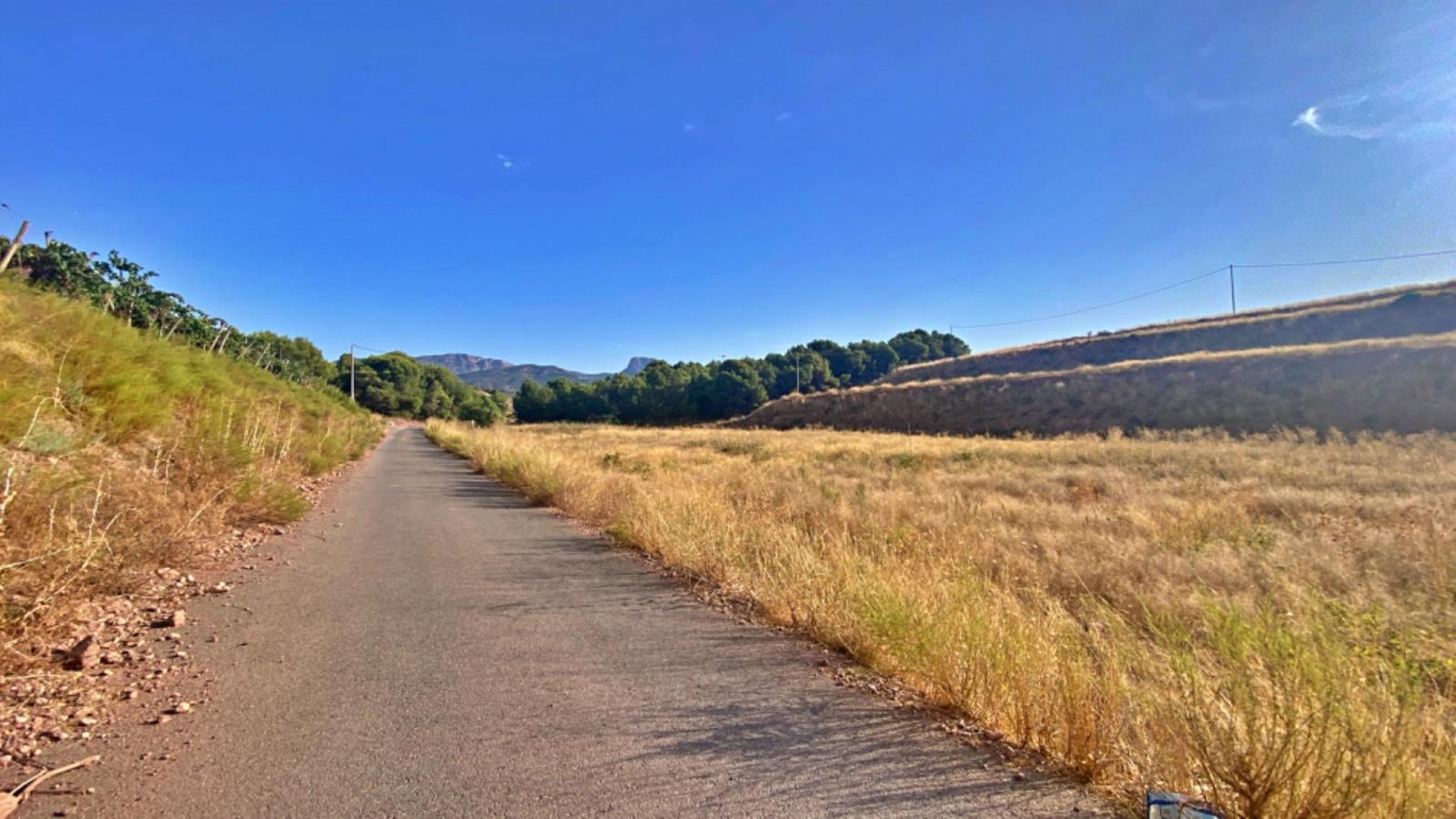 Parcela en Venta en Aledo