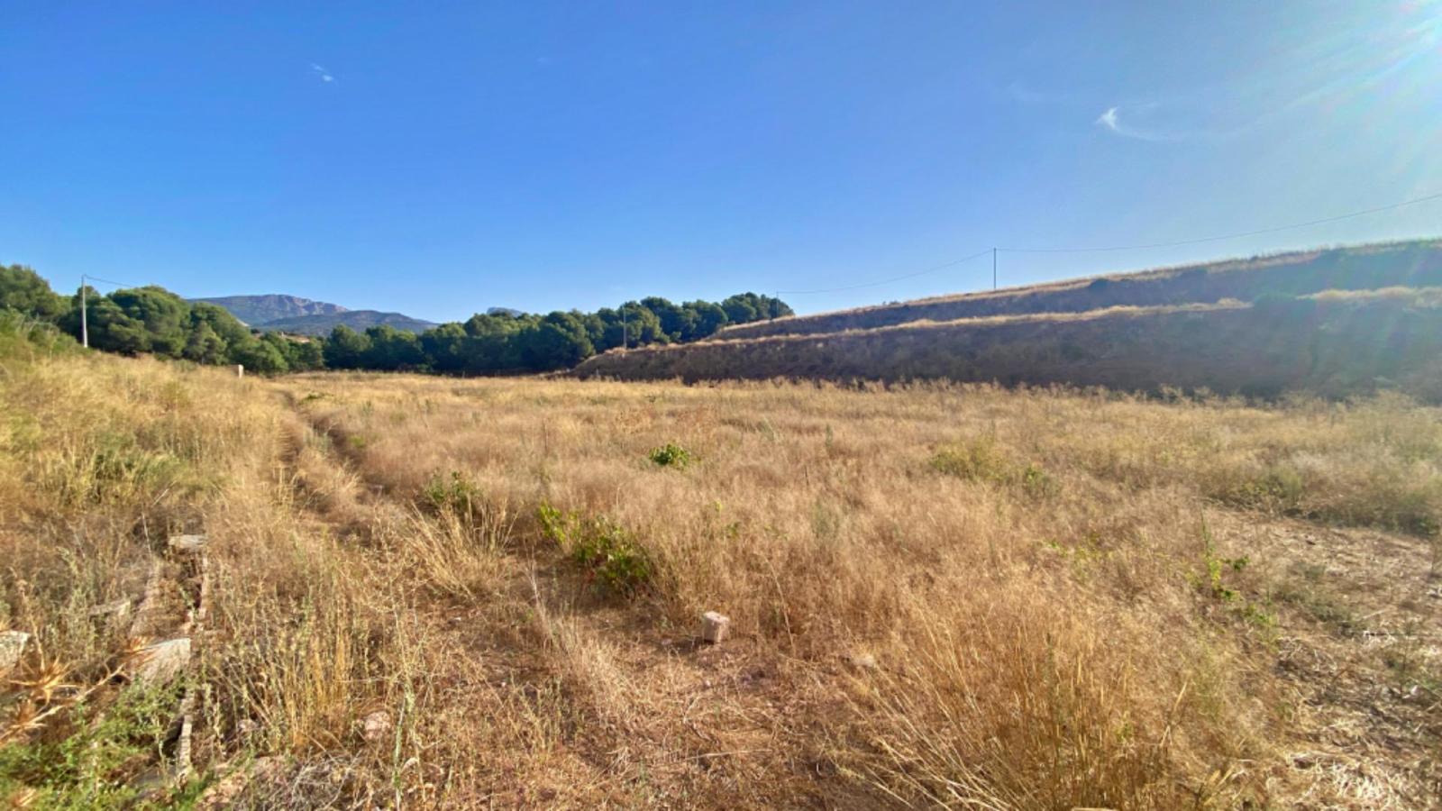 Plot for Sale in Aledo