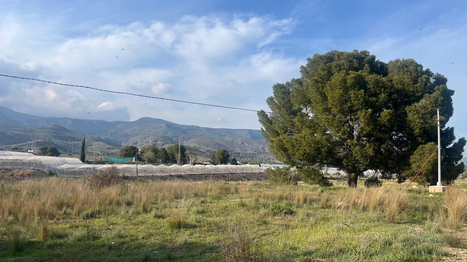 Parcela en Venta en Totana